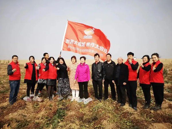 11月12日，眾人翹首以盼的太極莊山藥采挖活動在太極莊公司的溫縣·富硒鐵棍山藥標(biāo)準(zhǔn)化種植基地拉開帷幕