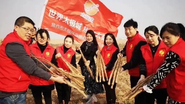 鐵棍山藥規(guī)模化、標(biāo)準(zhǔn)化種植